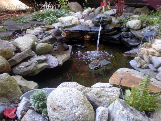 Garden and Pond Covers  Pond covers, Water gardens pond, Diy pond