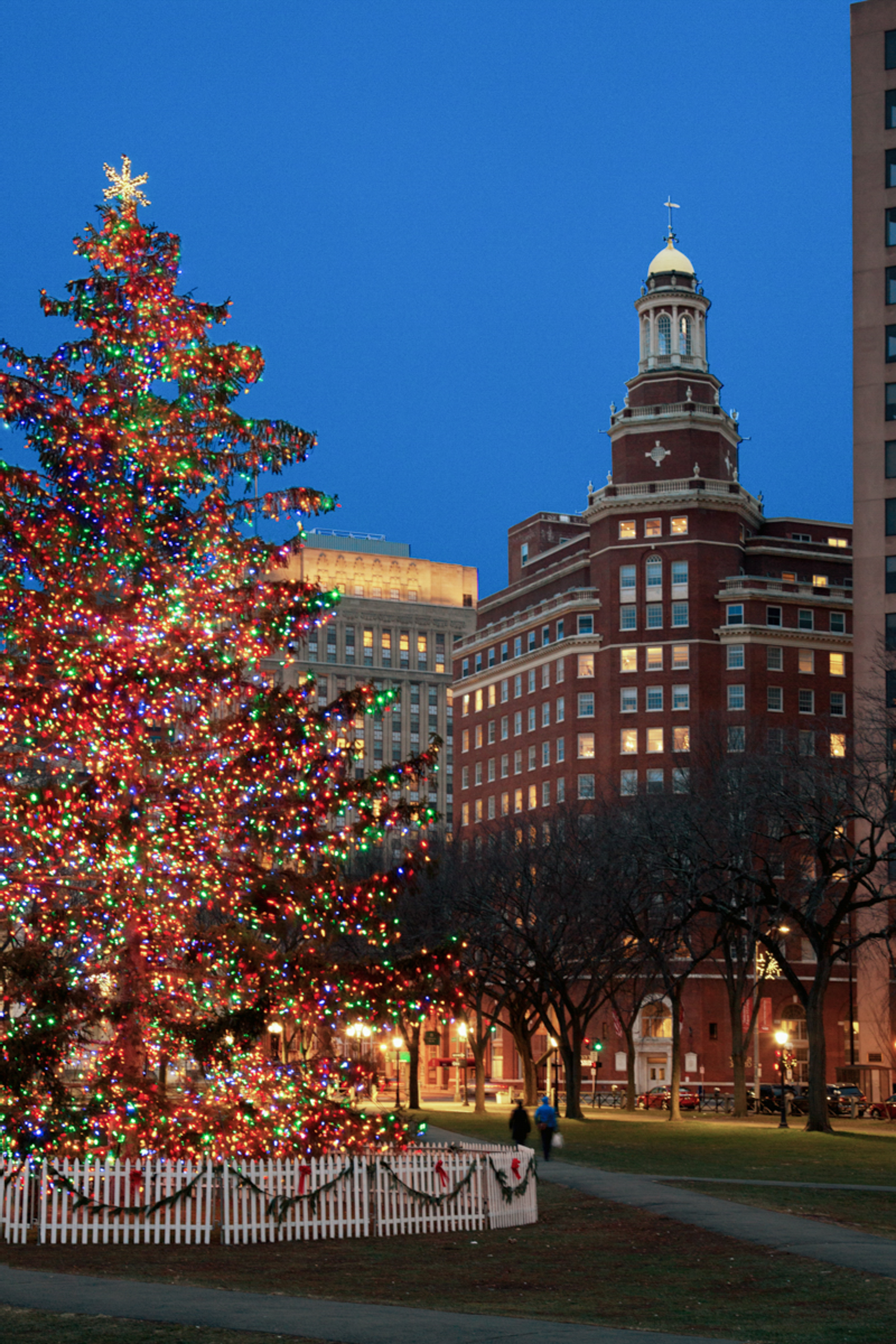 New Haven Green, Ct. 