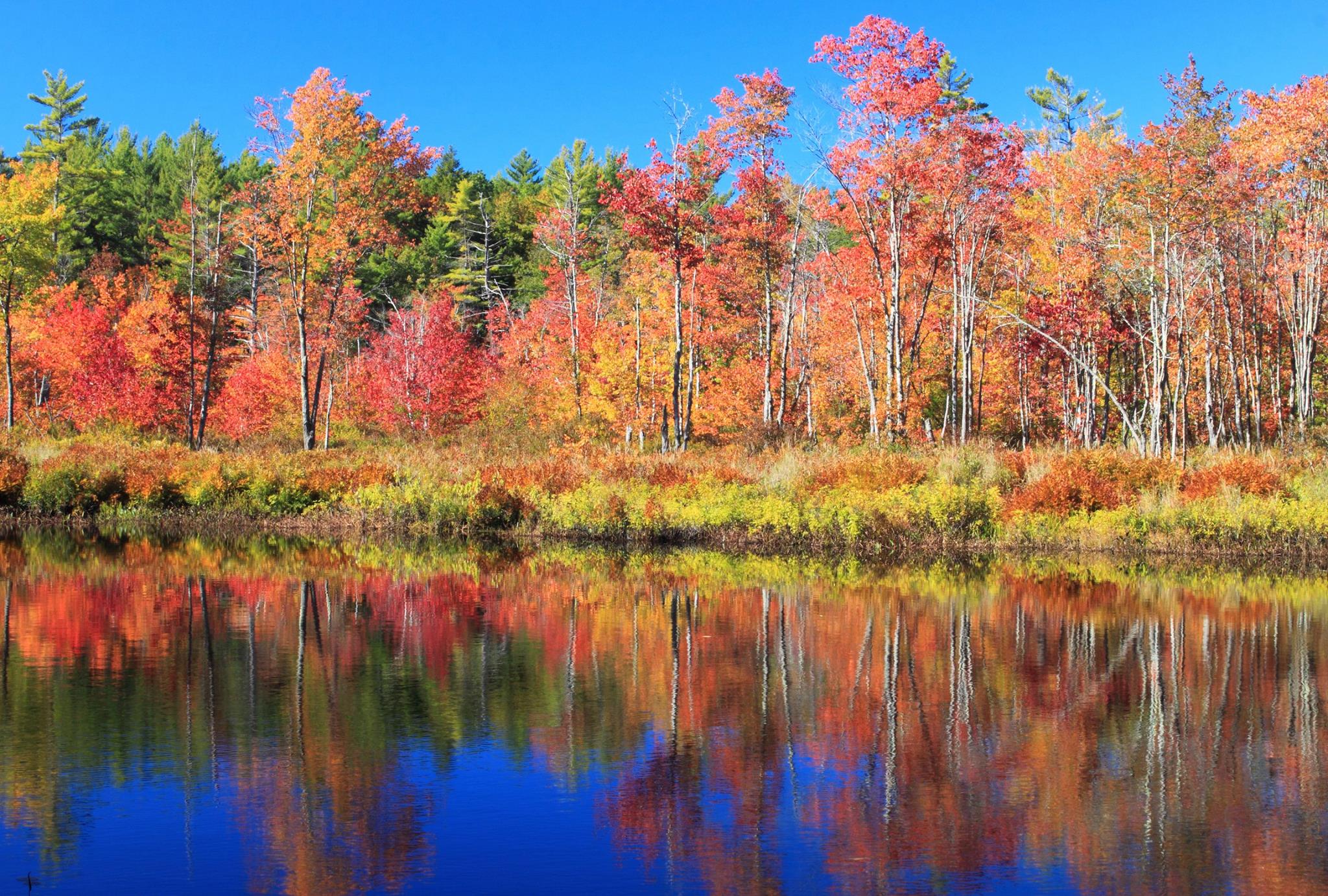 Where to Find Early Fall Foliage in New England - New England Today