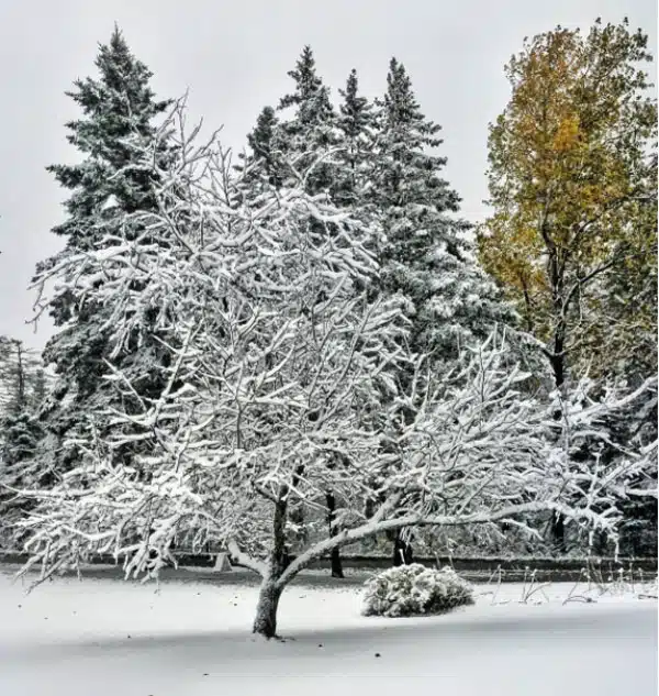 Walden, Vermont