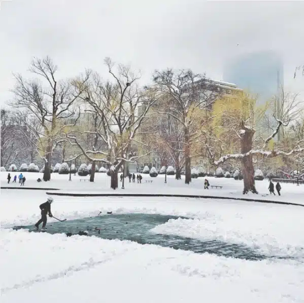 Boston Public Garden, Massachusetts
