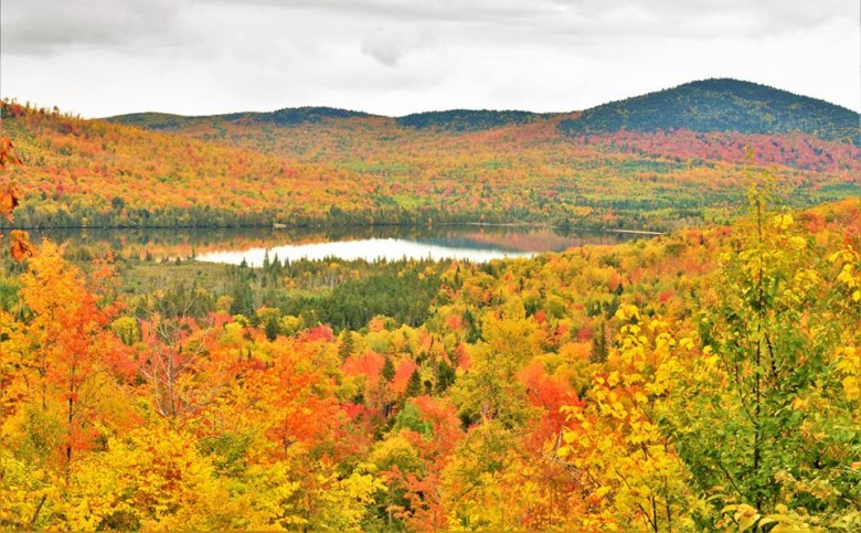 Beautiful, Peak Colors In The Great North Woods This Past Week Should Hold Through The Holiday Weekend