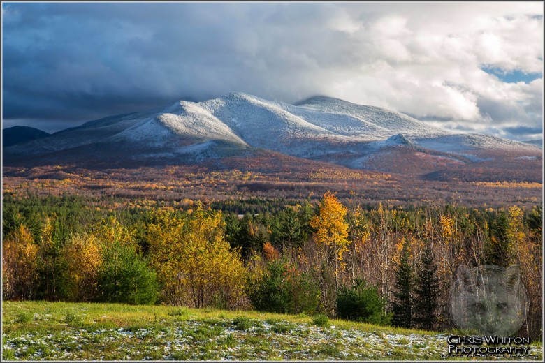 Early November Foliage is Brightest in Coastal New England - New England