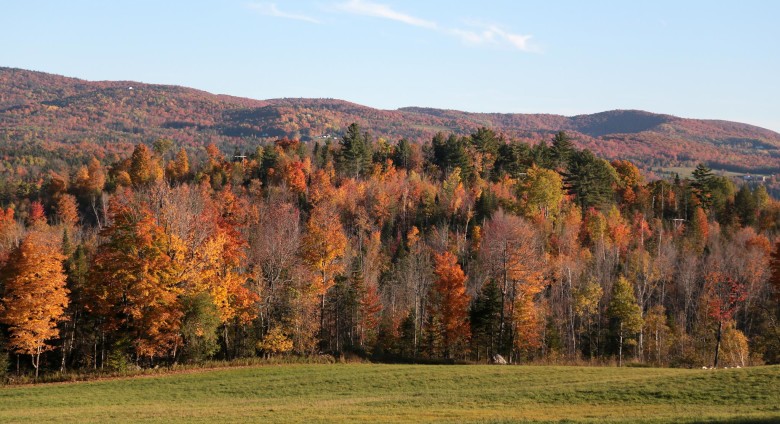 Fall color is still bright, but past peak in Orange, Vermont and many of the areas that turn first in New England.