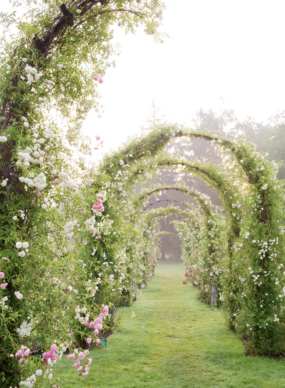 85 Best Things to Do in New England