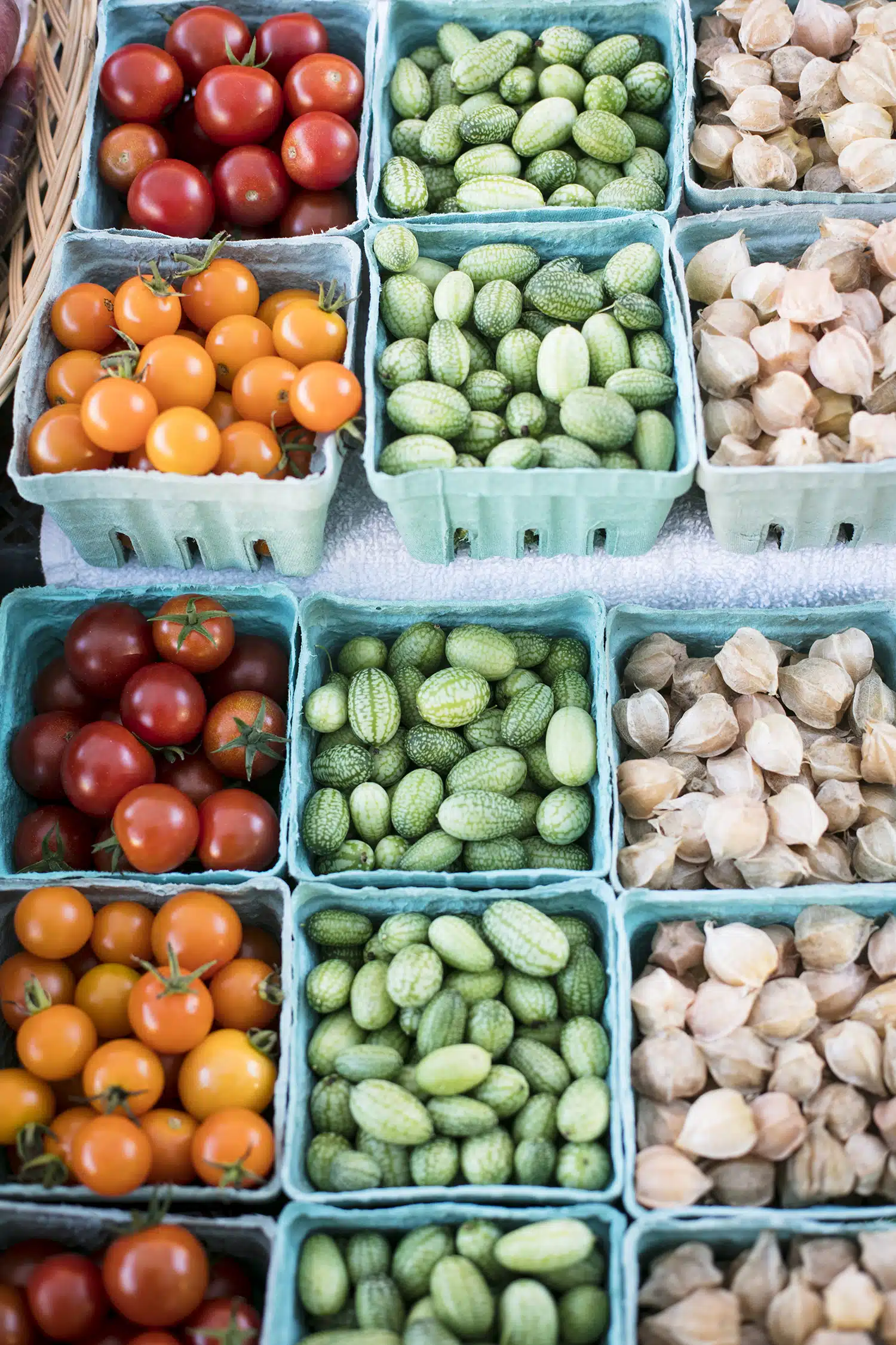 Scenes from Summer in Burlington, Vermont