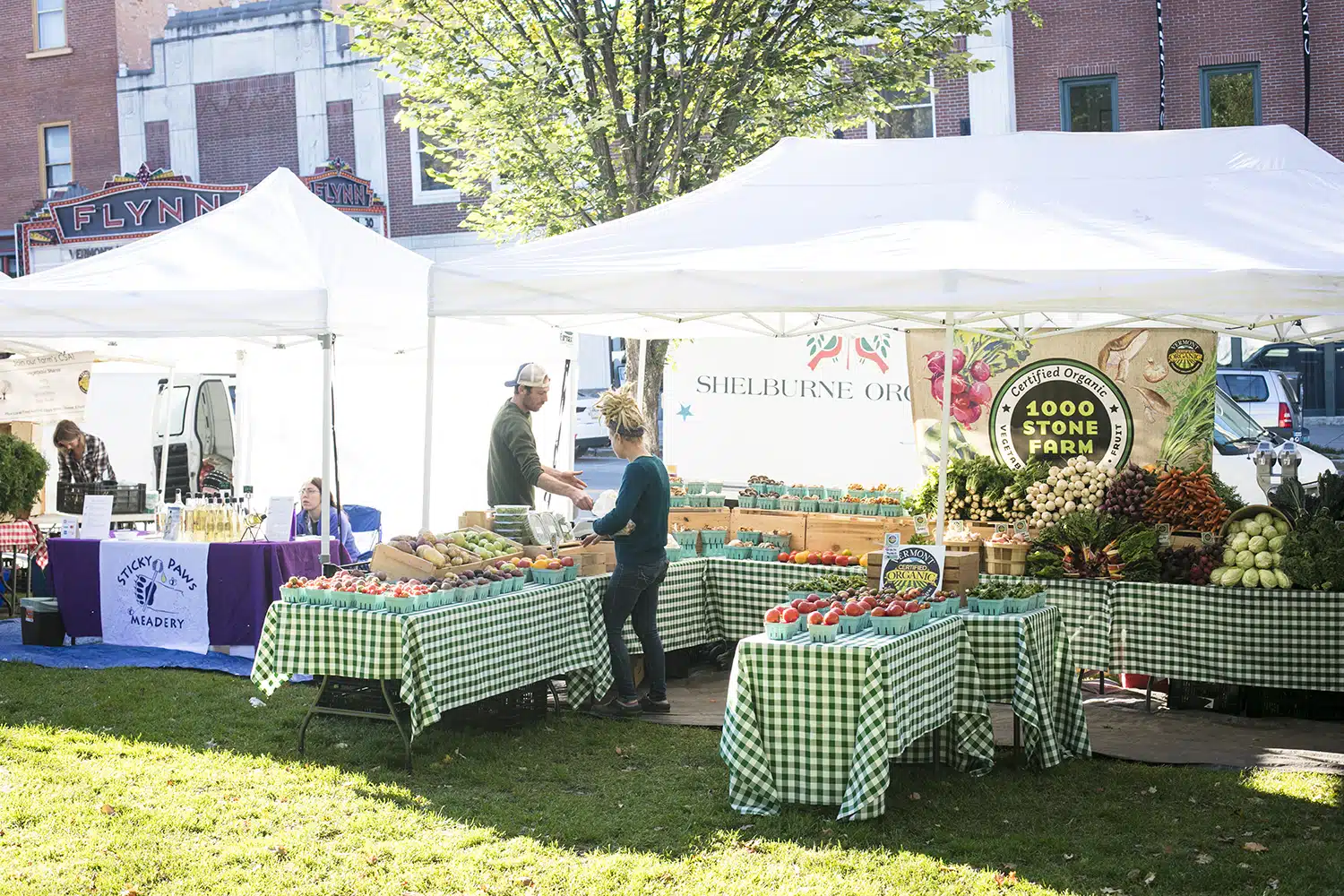 Scenes from Summer in Burlington, Vermont