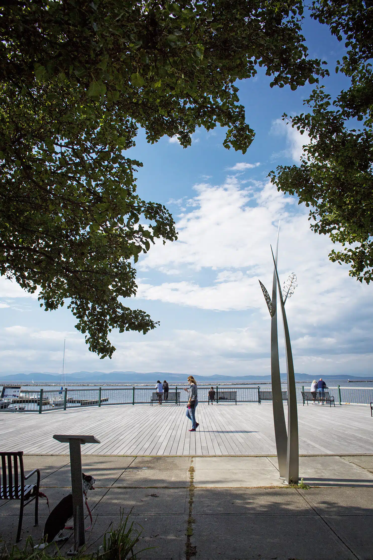 Scenes from Summer in Burlington, Vermont