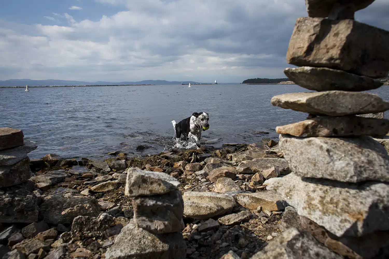 Scenes from Summer in Burlington, Vermont