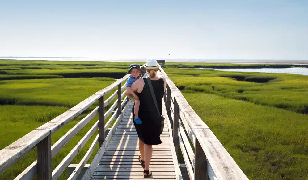 63 Reasons to Love the Cape & Islands