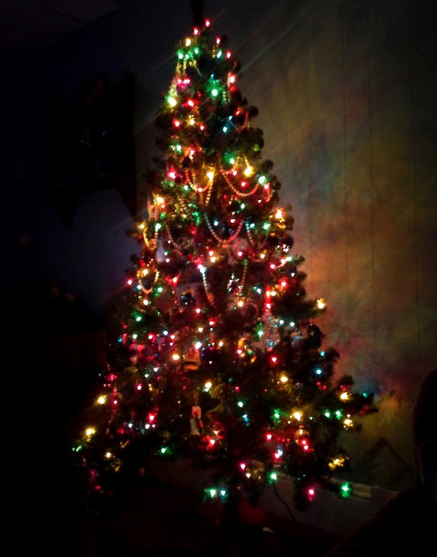A tree aglow on Christmas.