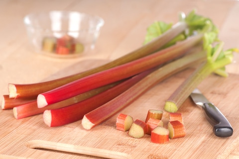 rhubarb rhubarbe confiture