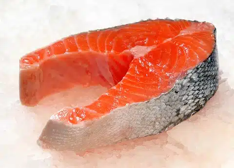 salmon