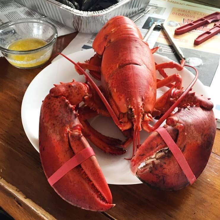 boiled lobster as