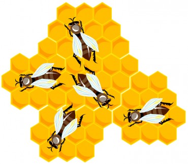 honey bees-ca