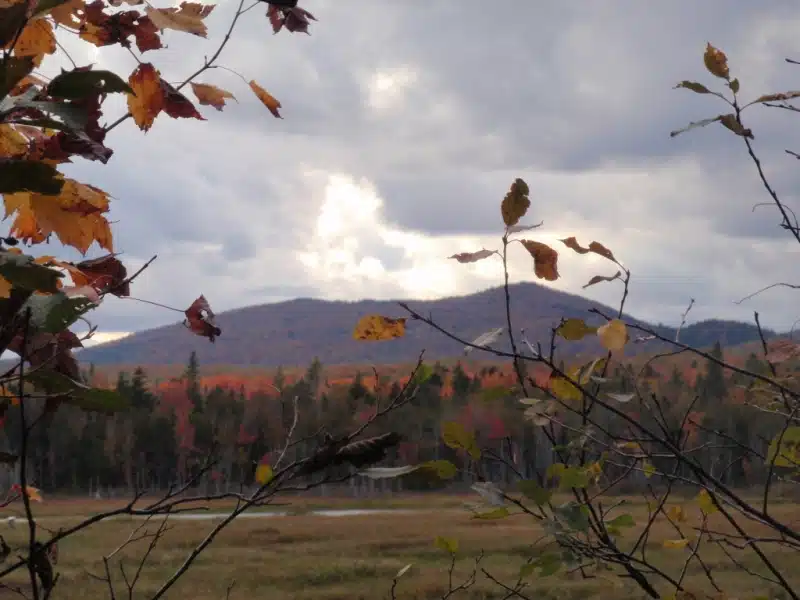 Autumnal landscape with colorful foliage in the foreground and a distant cloud-covered mountain range under an overcast sky.