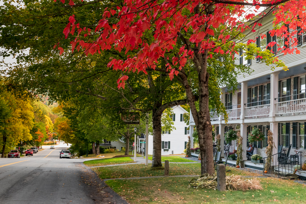Tree with red autumn leaves beside a quiet street lined with houses and porches in a small town.