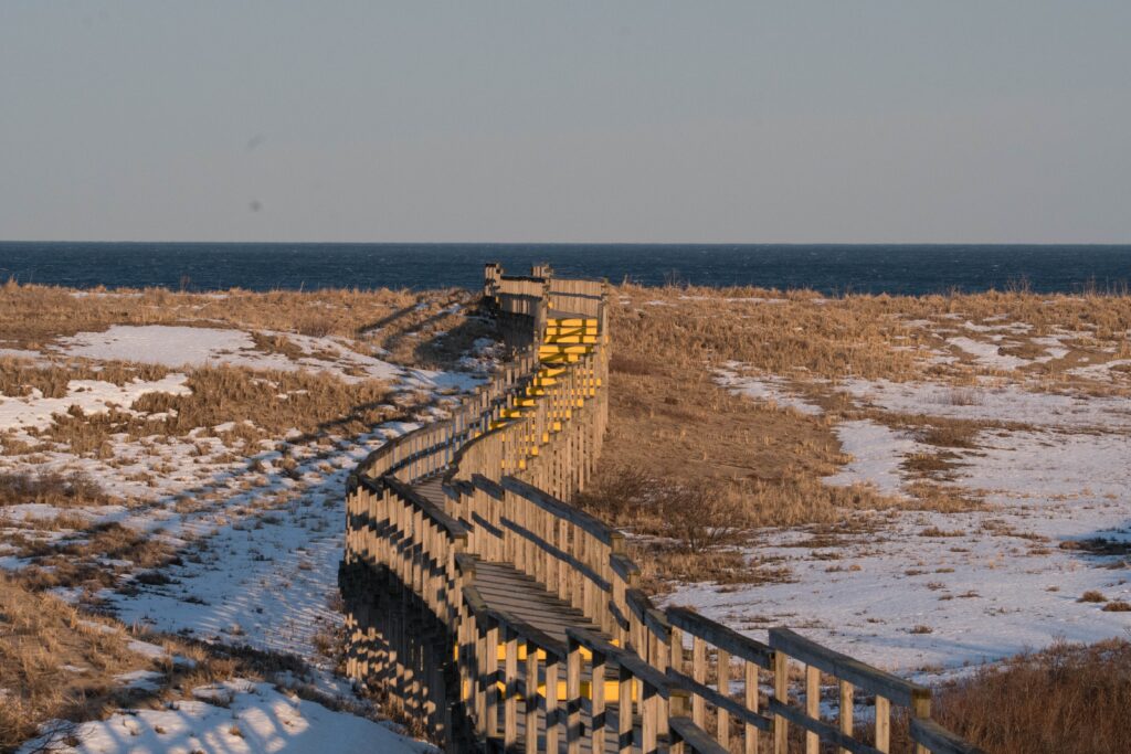 A wooden boardwalk with yellow railings curves through a snowy, grassy dune toward the ocean under a clear sky.