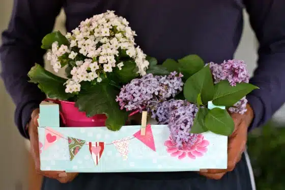 Decorative Flower Boxes are Finished