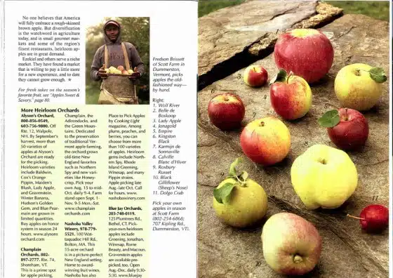 Apple Orchard Spread 3
