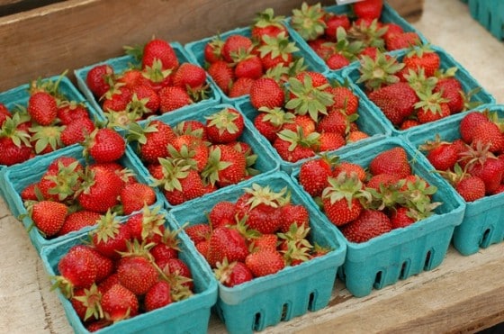 Farmers Market Strawberries