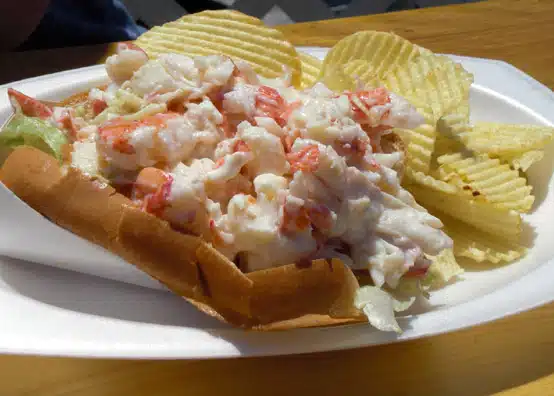 A lobster roll served on a bun with a side of potato chips on a white foam plate.