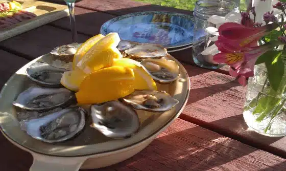 A plate of half-shell oysters with lemon wedges sits on a wooden table next to a small vase of flowers and a glass of wine.