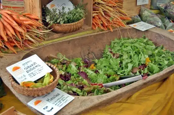 A display of fresh vegetables at a market stall, including leafy greens, carrots, and baskets with herbs. Different types of lettuce are labeled and presented for sale.