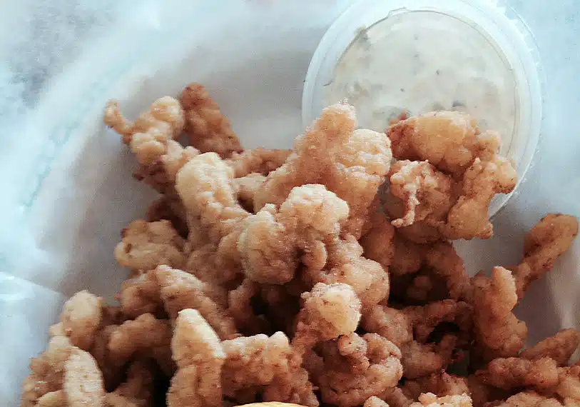 fried clams