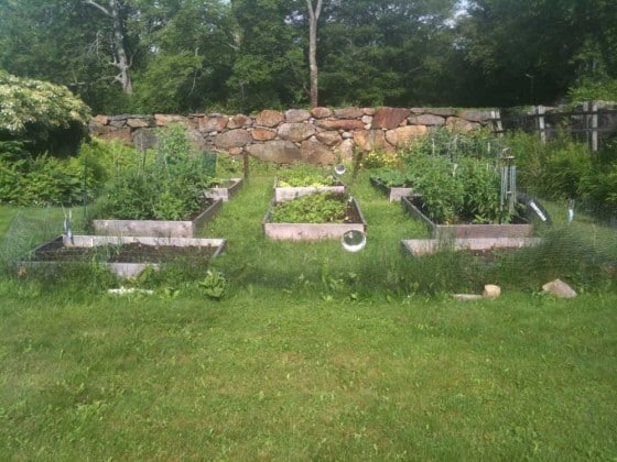 Raised Beds