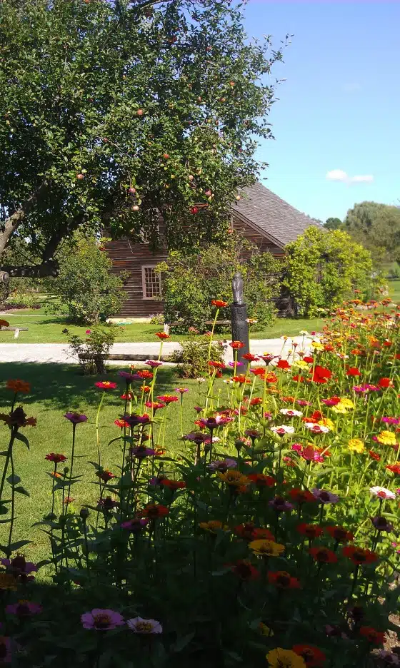 A rustic wooden house is surrounded by a lush green garden, abundant with colorful flowers and a large tree in the foreground under a clear blue sky.