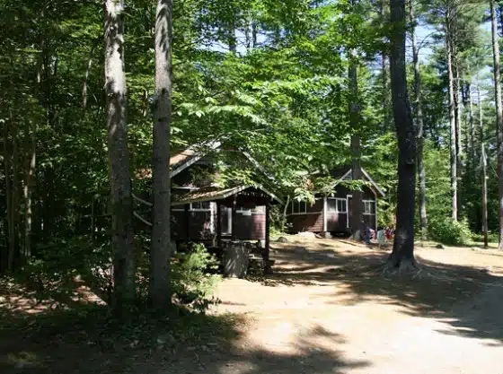 A brown cottage surrounded by trees in a wooded area on a sunny day.