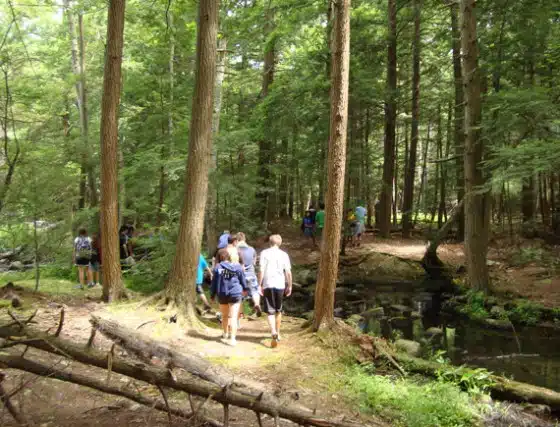 A group of people, including children, walk along a forest path beside a small stream during the daytime.