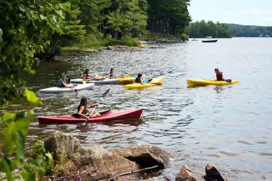 A group of people in colorful kayaks paddles near the shore of a calm lake, surrounded by trees and rocky terrain.