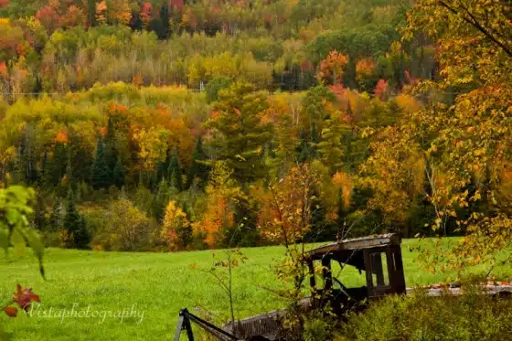 An old, rusty vehicle sits in a grassy field with a backdrop of vibrant fall foliage in a forested area.