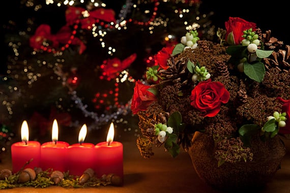 christmasflowers_dt1