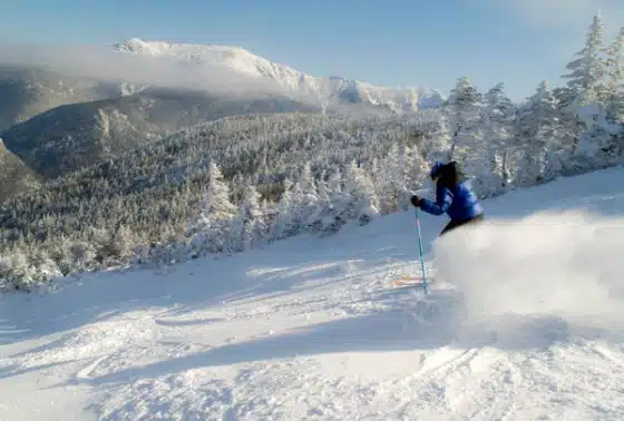Skier in blue jacket descends snowy mountain slope, surrounded by snow-covered trees and distant peaks under a clear blue sky.
