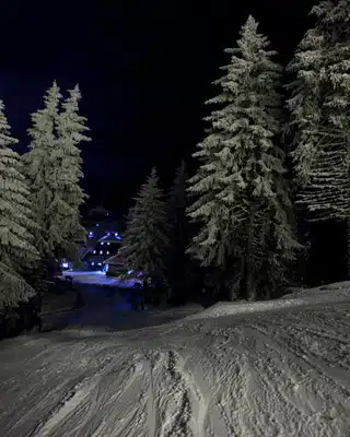 A snow-covered path leads through a forest with illuminated buildings visible in the background at night. Snow-laden trees are on either side of the path.