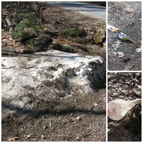 A wooded area with remnants of melting snow, discarded items including a plastic bag and a box on the ground, and a gravel path.