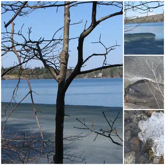 A tree with bare branches stands by a lake, partially frozen. In the three side images: ice on the water, ice and branches at the lake edge, and a close-up of icy rocks.