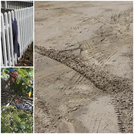 Collage of three images: a purple cloth caught on a white fence, tire tracks in sand, and Christmas lights tangled in a tree.