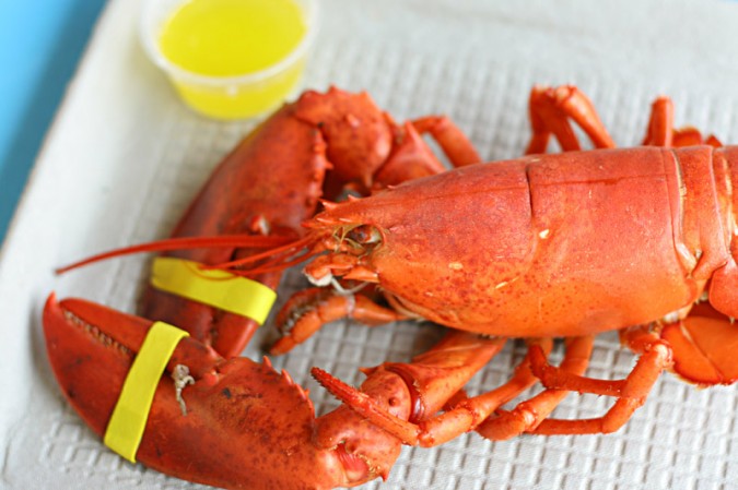 lobster dinner at Chauncey Creek