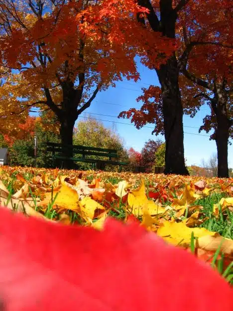The Color Of October