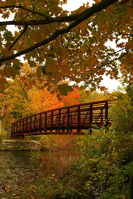 A Bridge in Fall