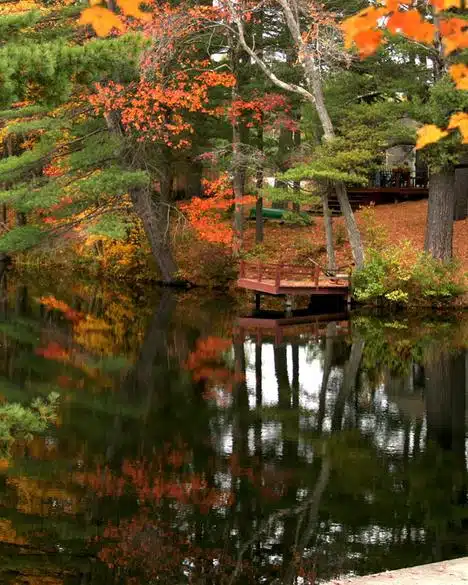 Fire Pond