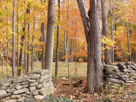 Autumn in Connecticut