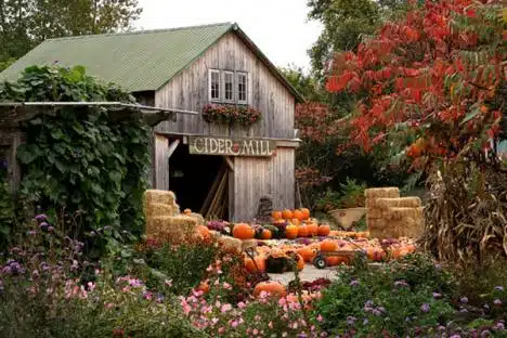Farm Produce at Hudaks Farm
