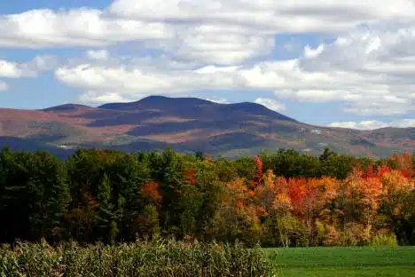 Clouds of Color