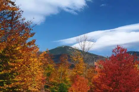 Beautiful Fall Day