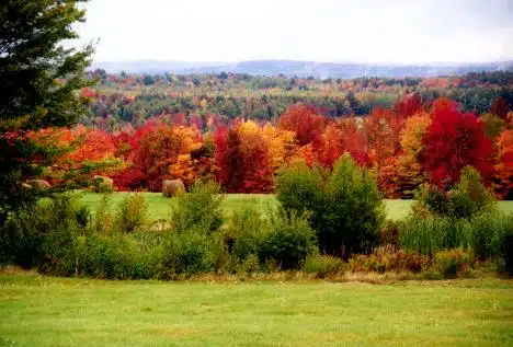 Fall Field